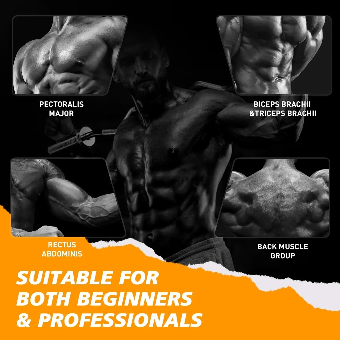 Flybird CB1 Olympic EZ Curl Bar 47"