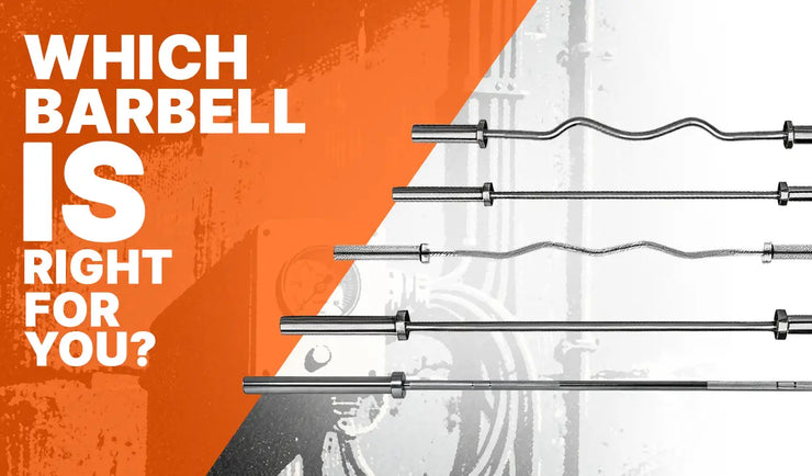 types of barbells