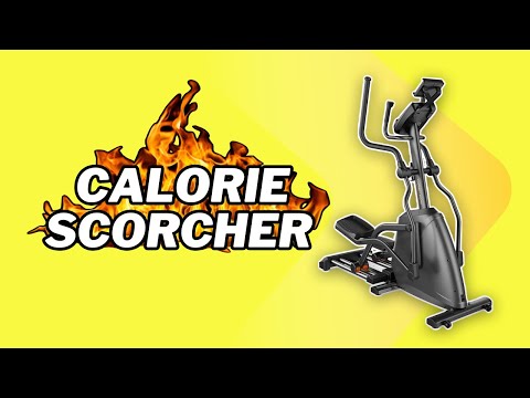 Load video: {{ description }}