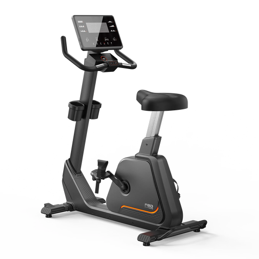 FED Fitness EB5 Upright Exercise Bike