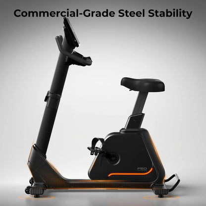 FED Fitness EB5 Upright Exercise Bike