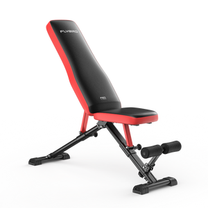 FED Fitness Flybird Series WB6 Foldable Adjustable Weight Bench Classic