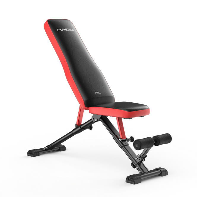 FED Fitness Flybird Series WB6 Foldable Adjustable Weight Bench Classic