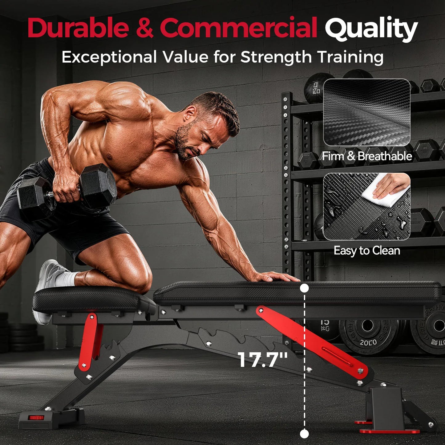 FED Fitness Flybird Series WB7 Adjustable Utility Weight Bench