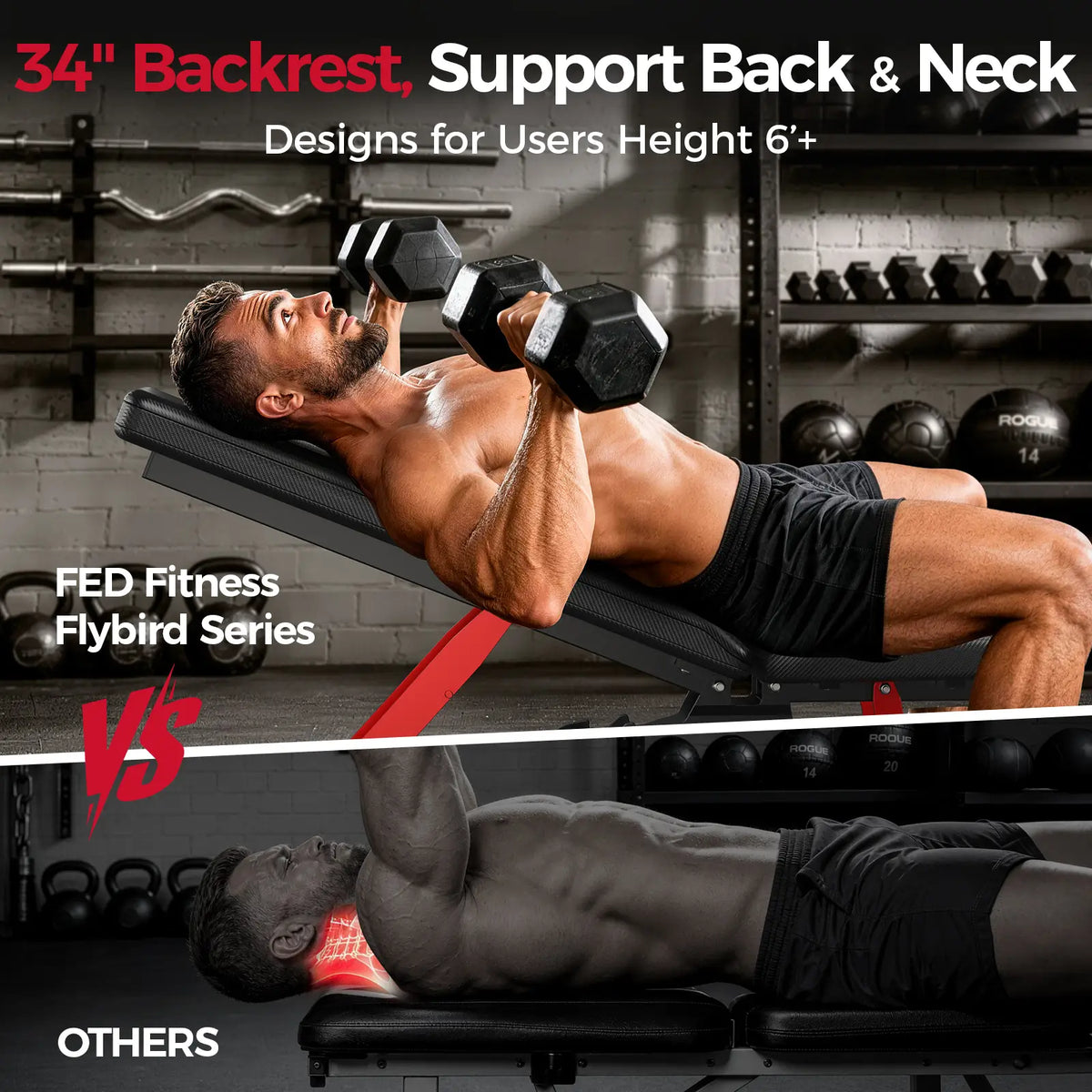 FED Fitness Flybird Series WB7 Adjustable Utility Weight Bench