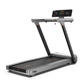 FED Fitness Feier TM1 Fully Folding Treadmill