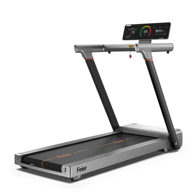 Feier TM1 Fully FoldingTreadmill