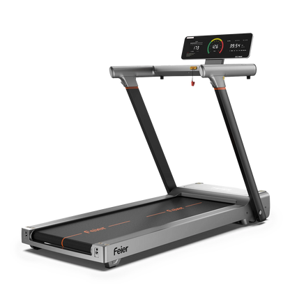 Feier TM1 Fully Folding Treadmill
