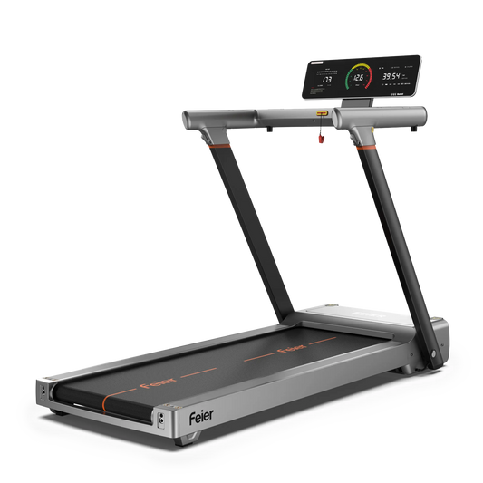 Feier TM1 Fully Folding Treadmill