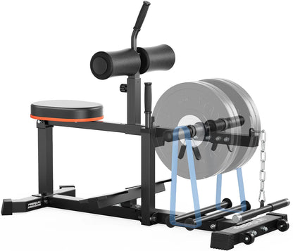 Feierdun Adjustable Seated Calf Raise Machine