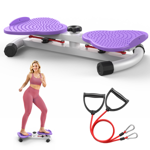 Feierdun Waist Twist Machine