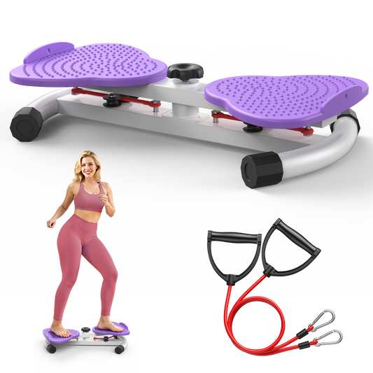 Feierdun TW1 Waist Twist Machine