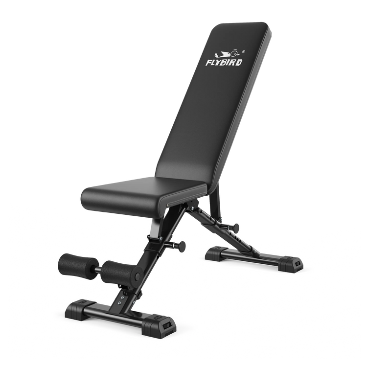 FED Fitness Flybird WB5 Adjustable Weight Bench