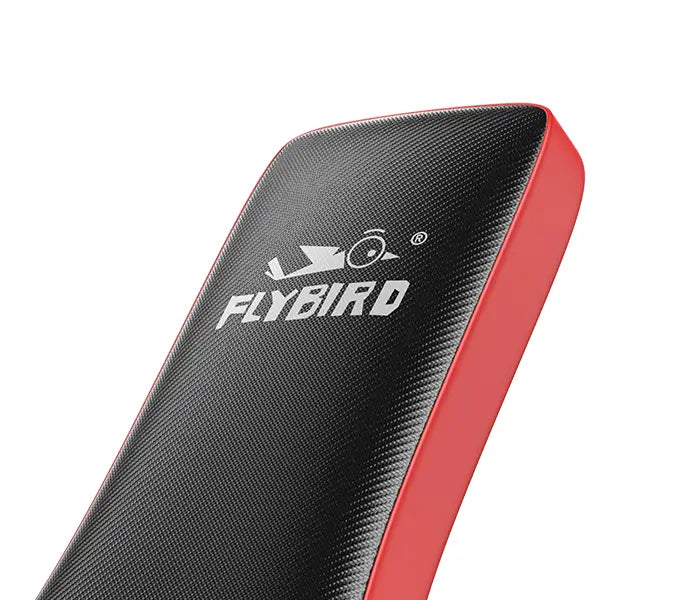 Black and red sports equipment with 'Flybird' branding on a white background