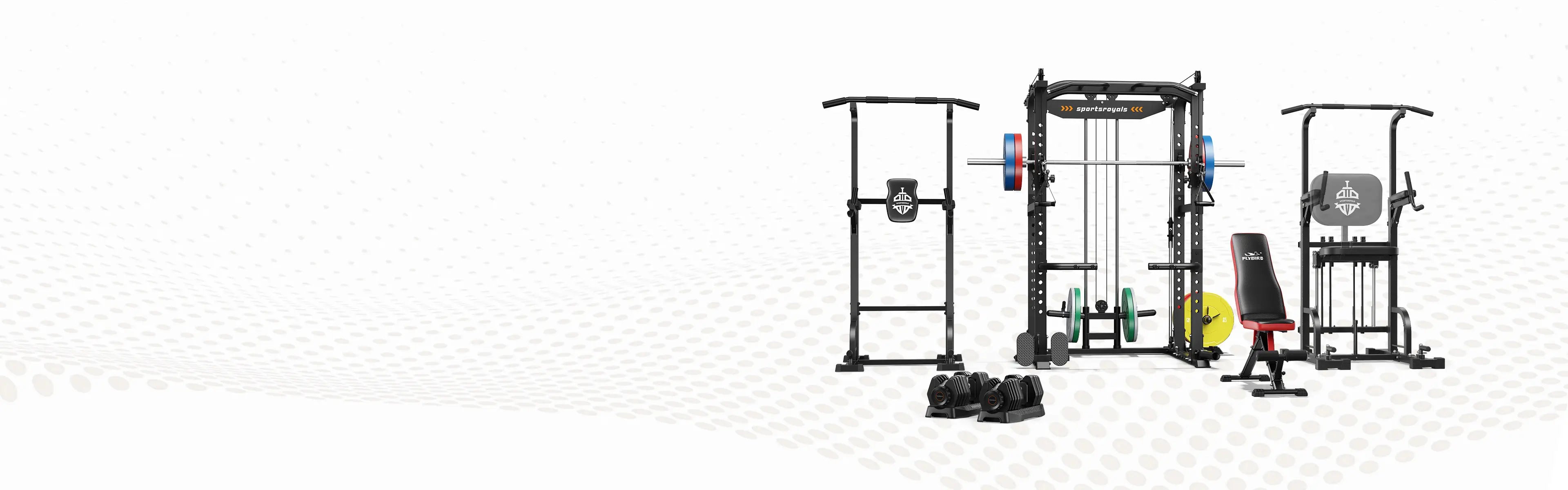 Gym equipment including a power rack and weight plates on a white background