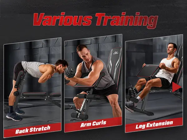 flybird foldable preacher bench - for various training