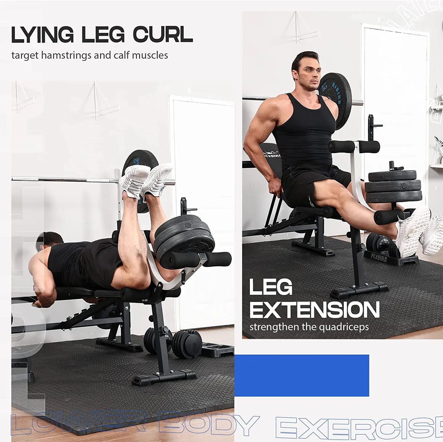 flybird standard weight bench 39inch-leg curly extension workout