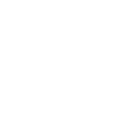 Free Shipping: Delivered within 3-7 business days